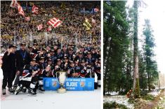 New ice rink made of Swiss wood for the freshly crowned cup winner 