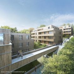 First Large Timbatec Vienna Wooden Residential Building in Planning