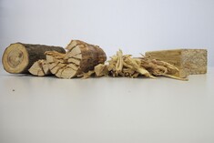 Capital increase and general meeting at Scrimber